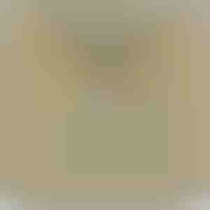 Cartão Zodíaco – Colar banhado a ouro branco 14k LEO