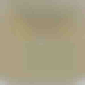 Cartão Zodíaco –Colar banhado a ouro branco 14k AQUARIUS