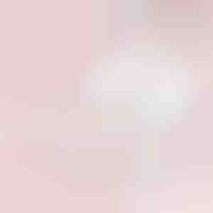 Pulseira Pata | PAWBRACELET