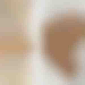 Conjunto de anéis | SPARKLET