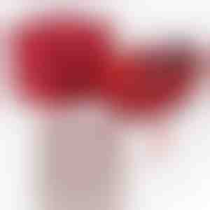 De namorado para namorada | JULIET_HEARTS_APPLEROSE