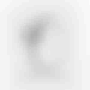 Anel de Promessa | HEARTISO